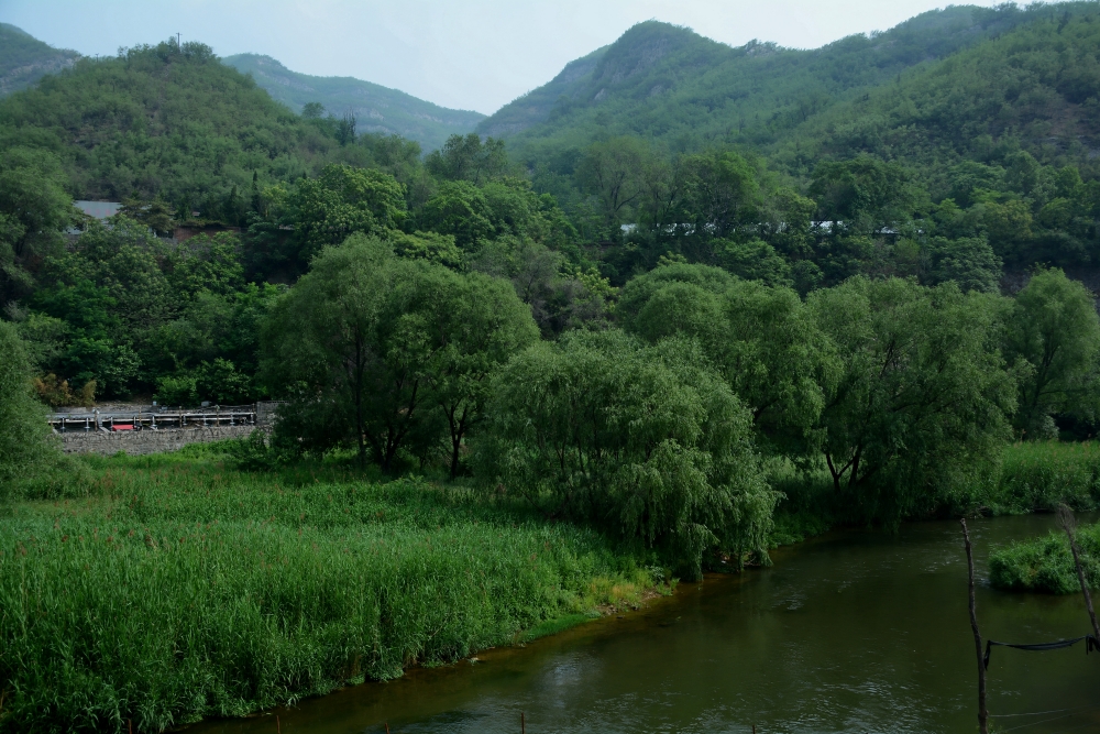 ��Ƭ 088_conew1.jpg