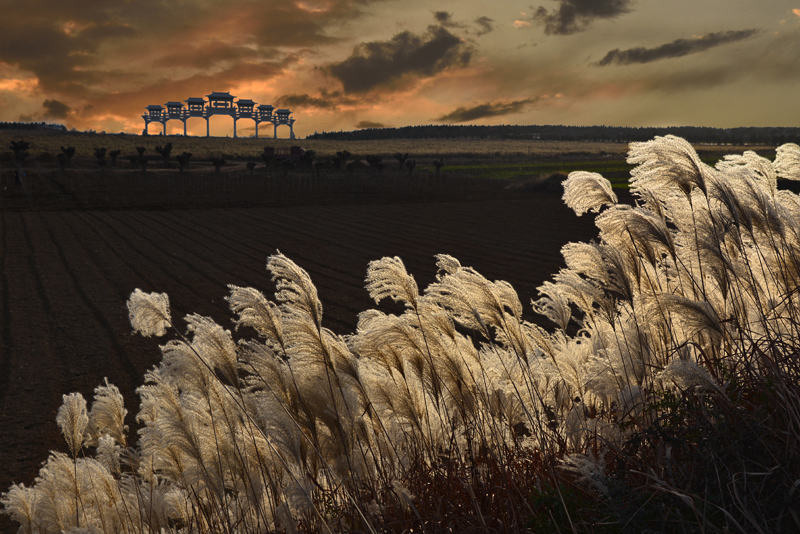 ��ɫ-0  ��ӳ  13649170481.jpg