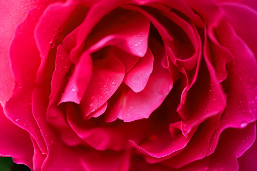 ����    ������