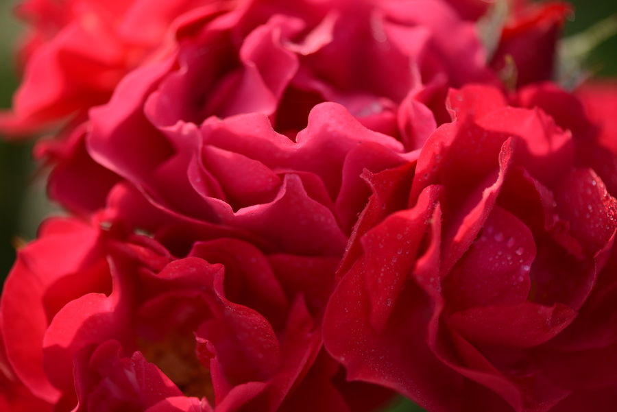 �����뿪   ������