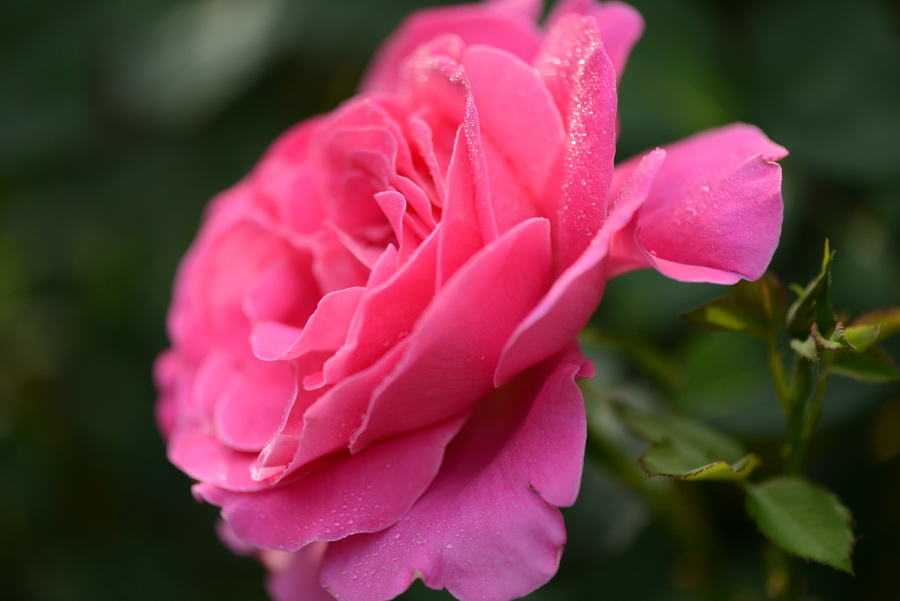 ����   ������