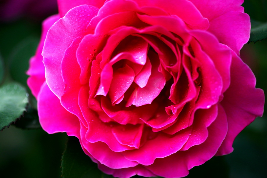 ����    ������