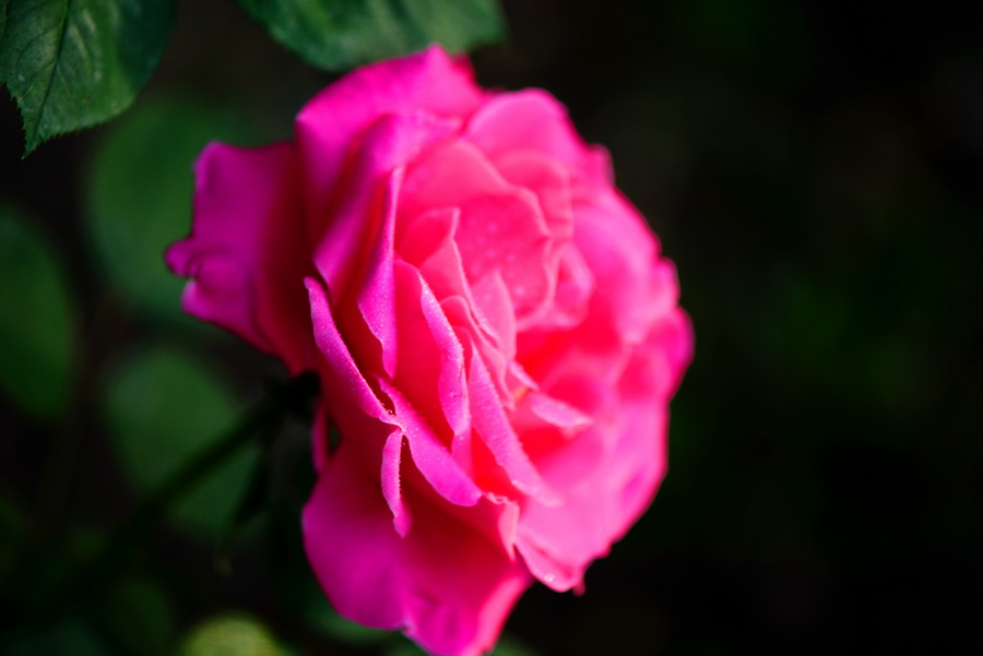 ��    ������