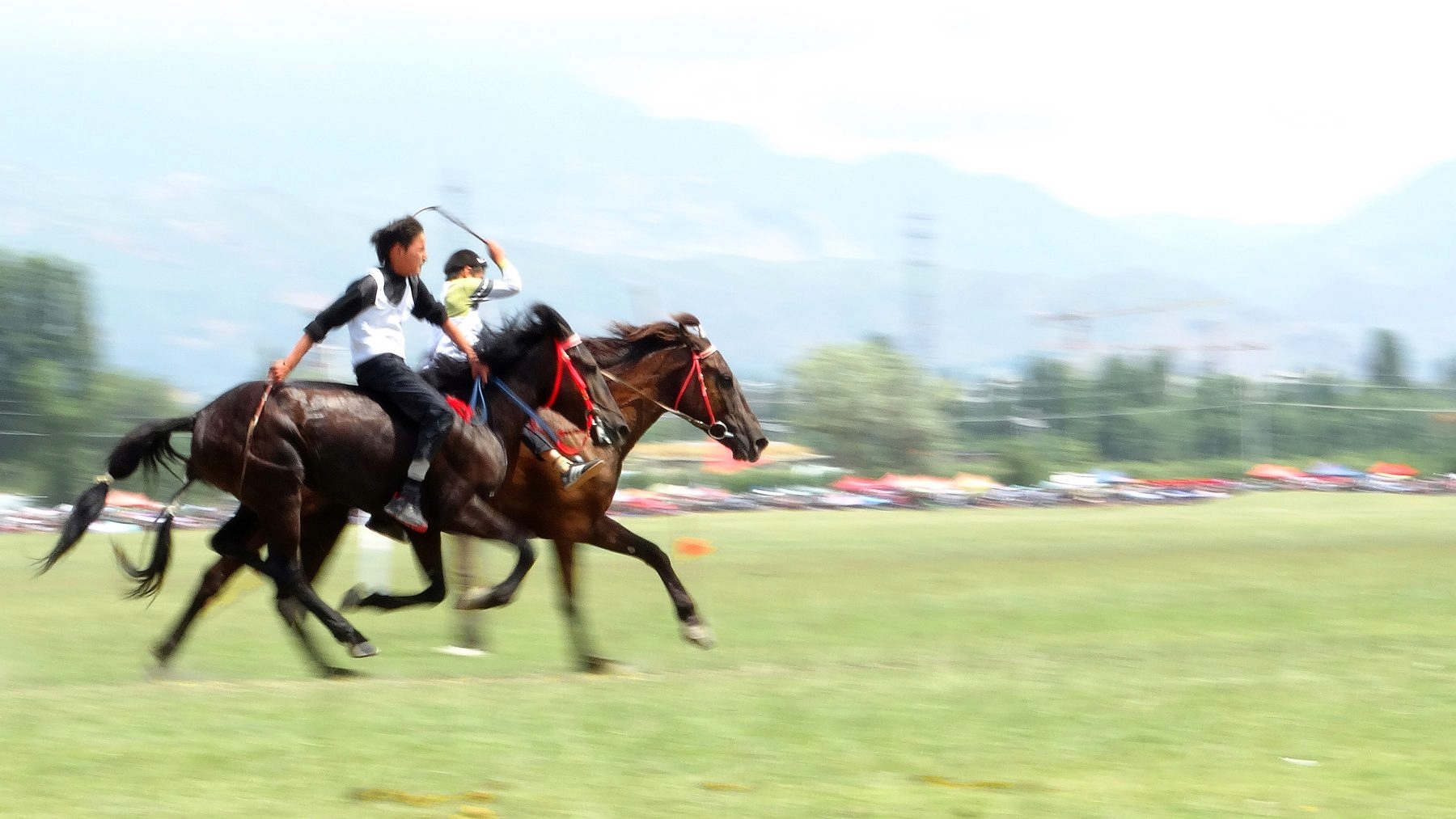 �������ϵ�������ʿ (4).jpg