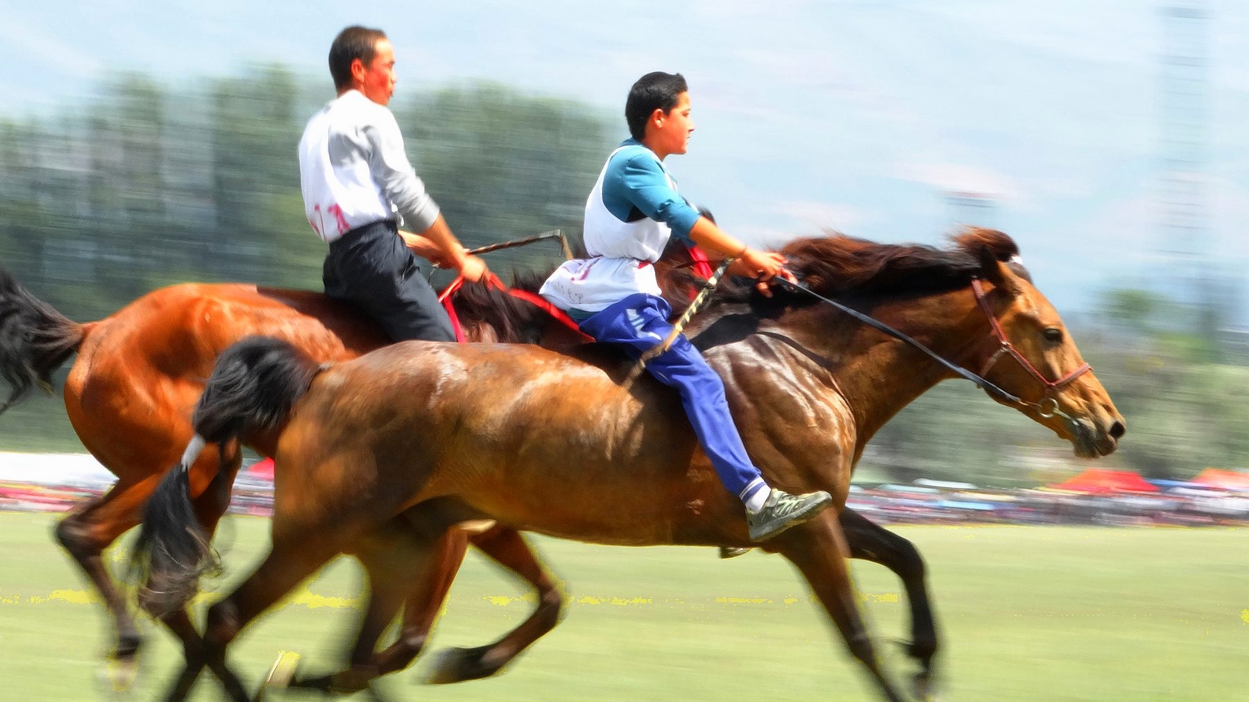 �������ϵ�������ʿ (5).jpg