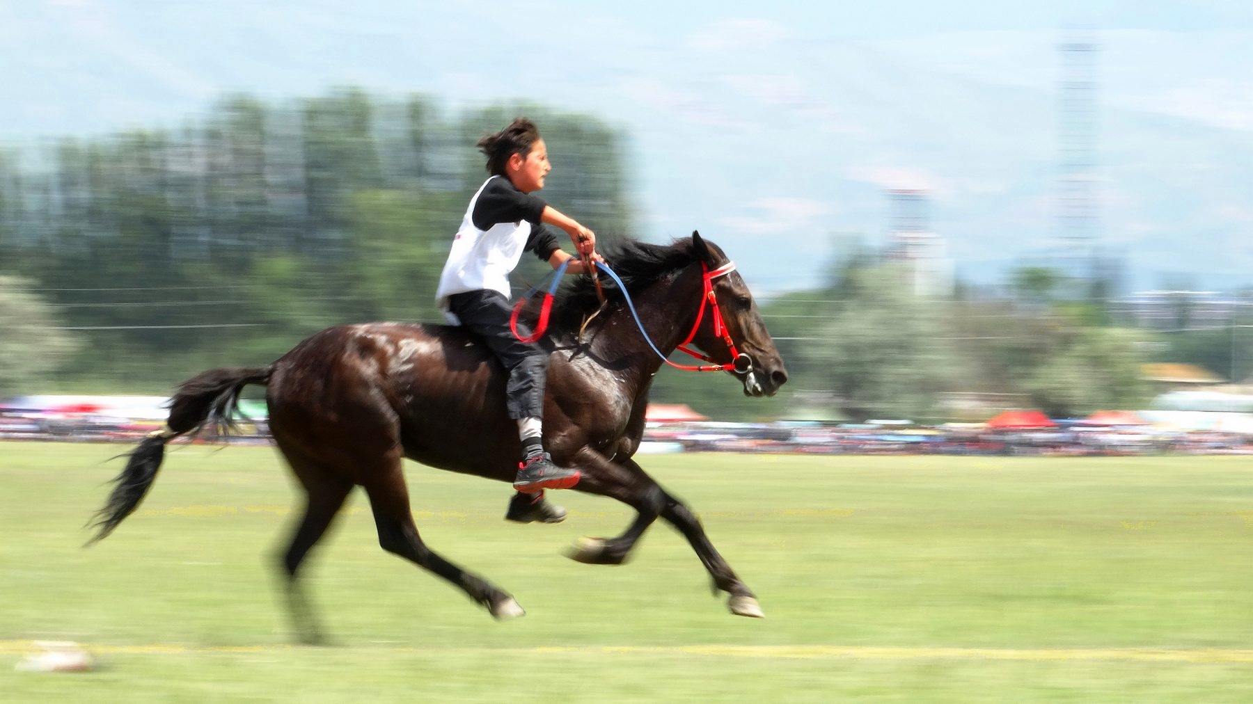 �������ϵ�������ʿ (6).jpg