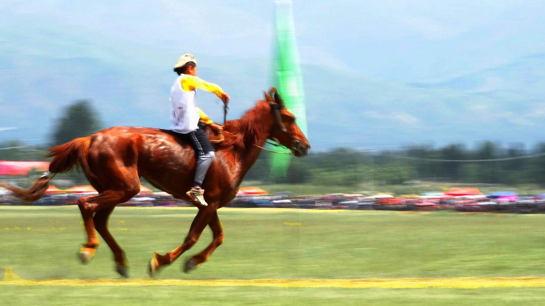 �������ϵ�������ʿ (7).jpg