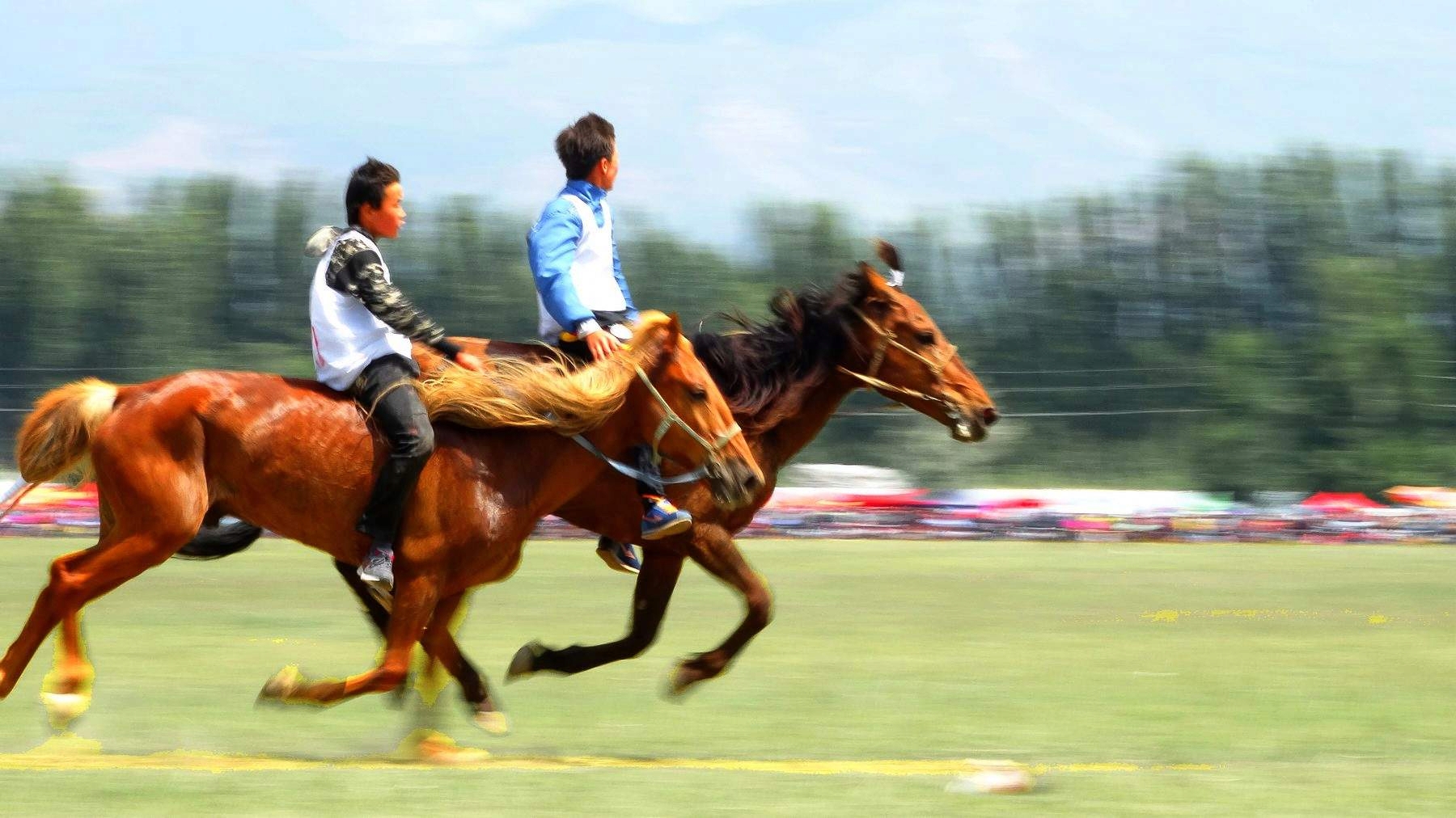 �������ϵ�������ʿ (8).jpg