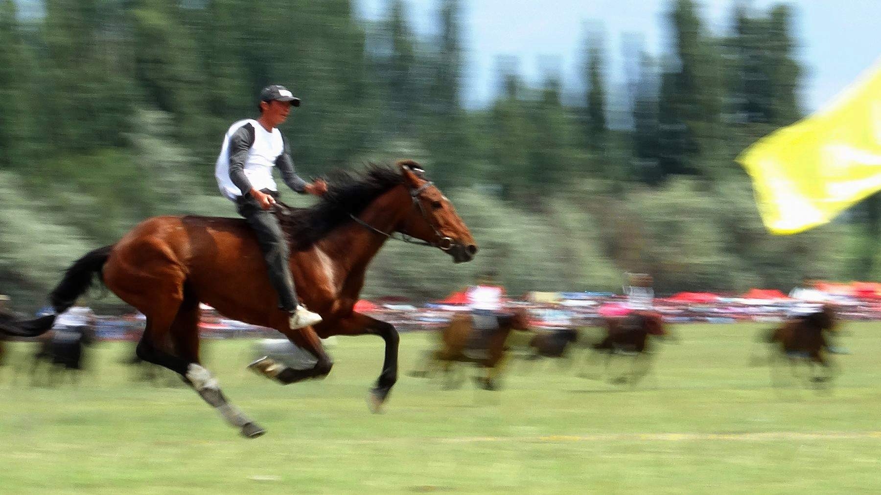 �������ϵ�������ʿ (10).jpg