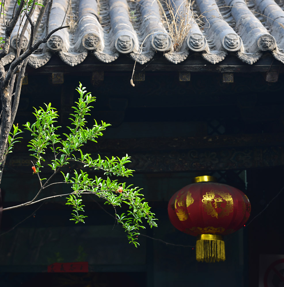 DSC_1767 ����.jpg