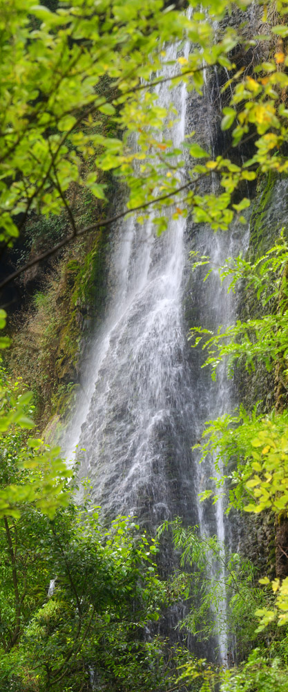 DSC_1797 ����.jpg