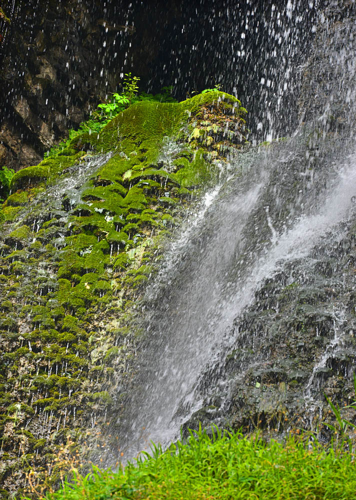 DSC_1813 ����.jpg