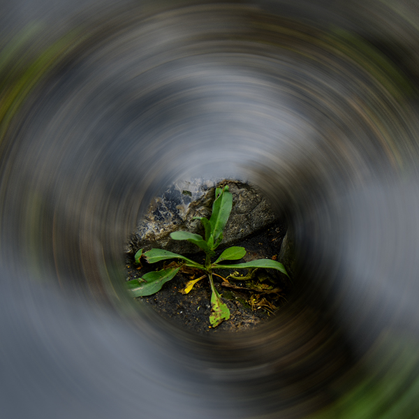 2014��5��24�����ӹ� aa07612.jpg