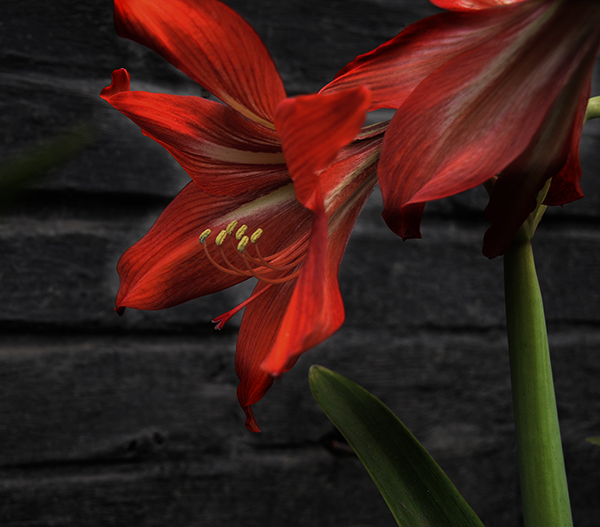 2014��5��24�����ӹ� aa13612.jpg