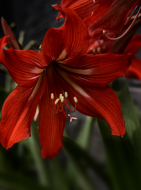 2014��5��24�����ӹ�aa 13412.jpg