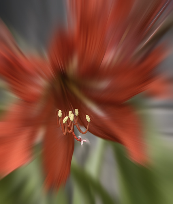 ��ת 2014��5��24�����ӹ� aa13312.jpg