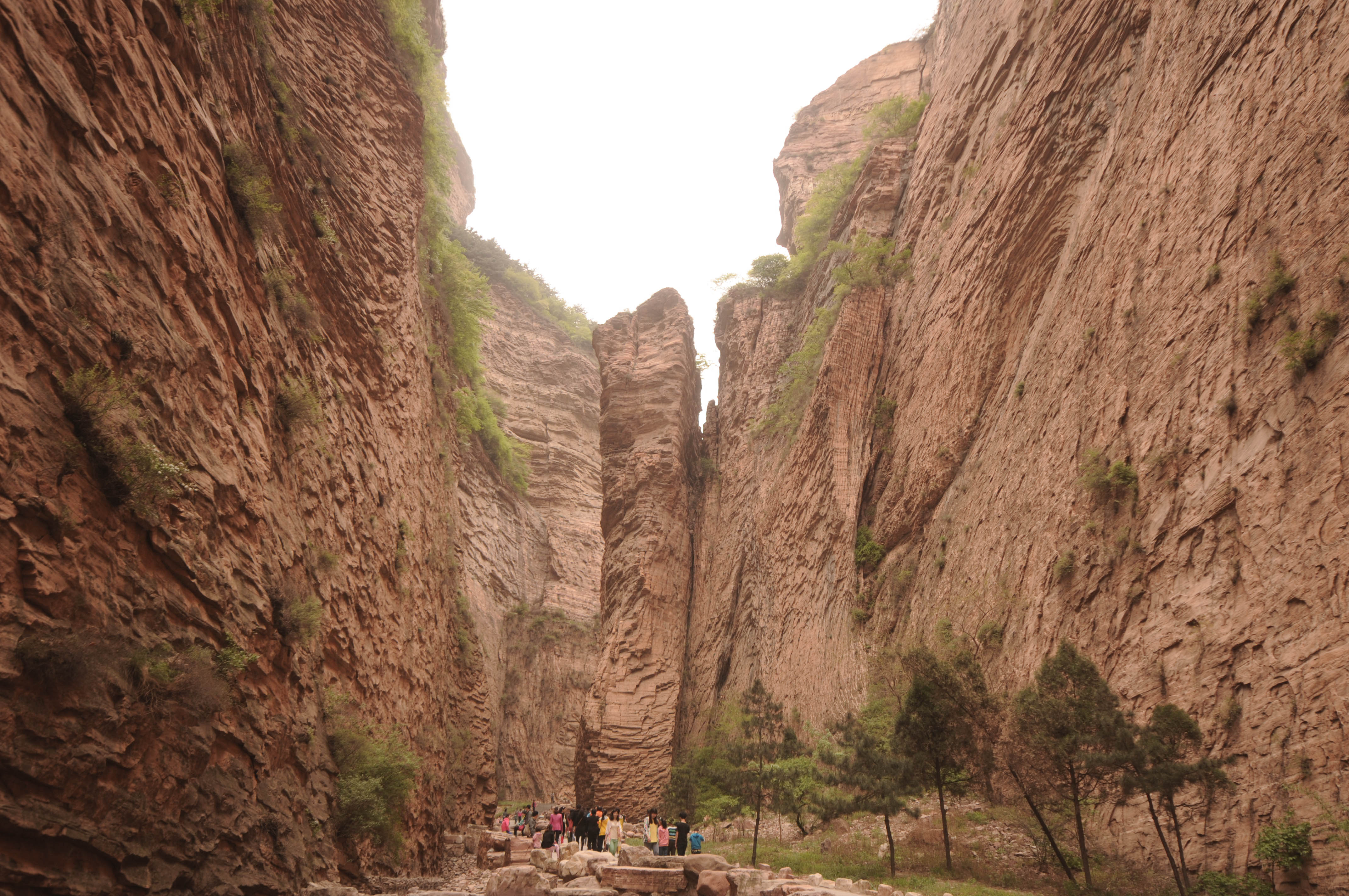 ��Ȫ����û���������ɽ��