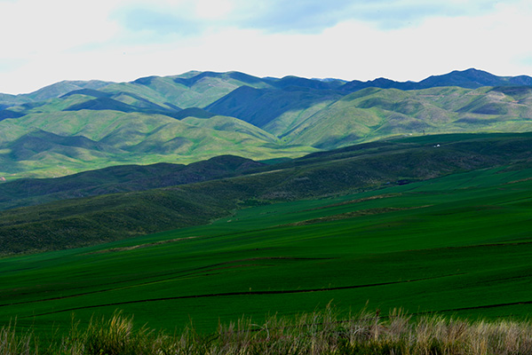 �ͻ��������