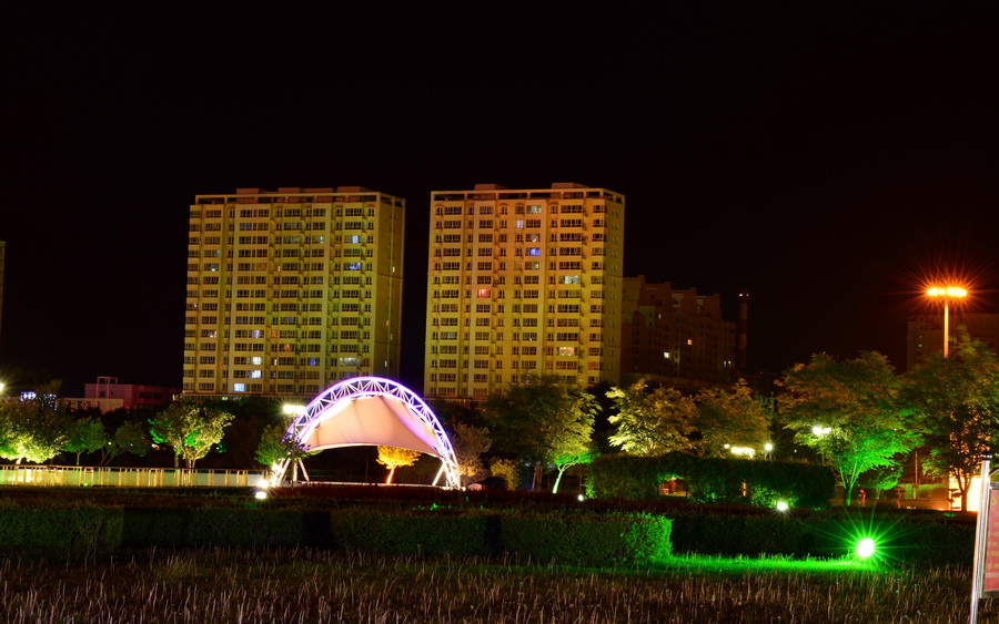 ҹ����   ������