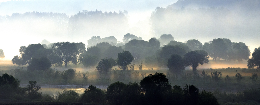 _LFD7935j ����.JPG