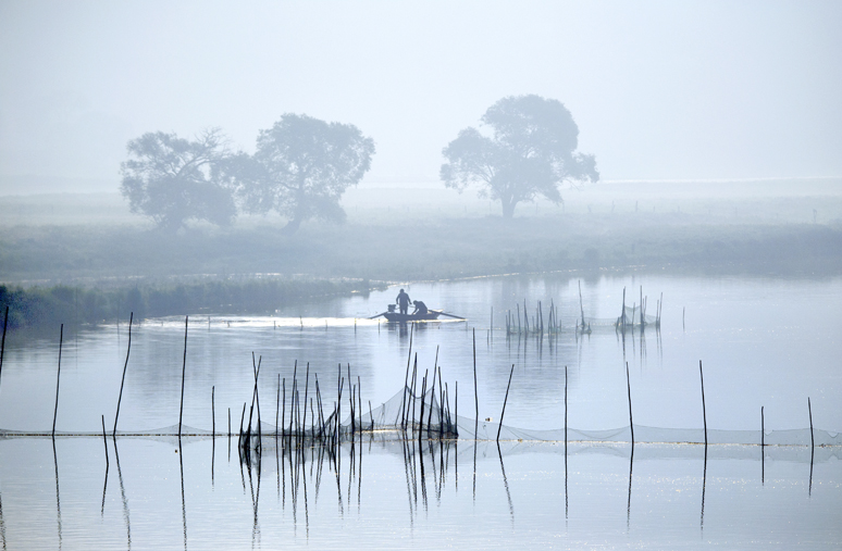 _LFD7954 ����.jpg