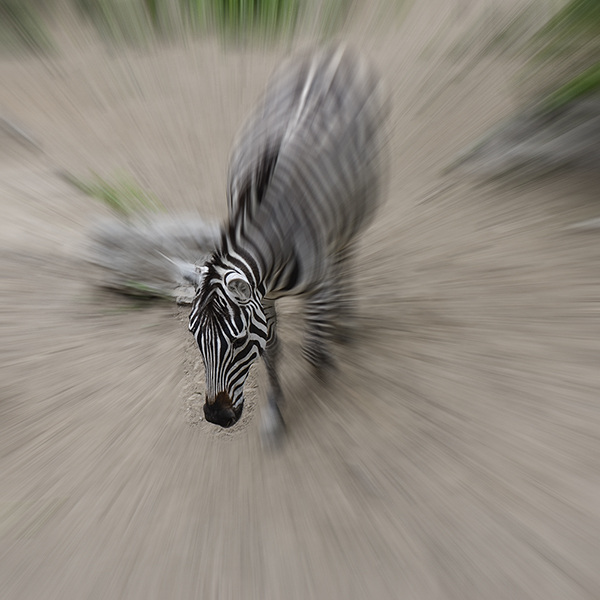 2014��5��9�ձ���aa a25912.jpg