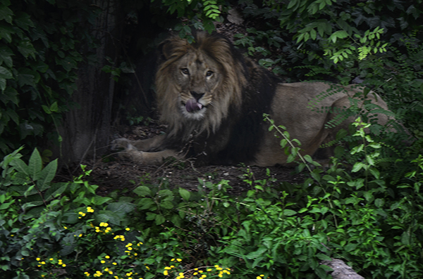 2014��5��9�ձ��� aa21012.jpg