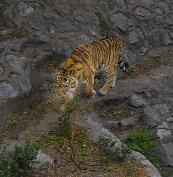 2014��5��9�ձ��� aa21312.jpg