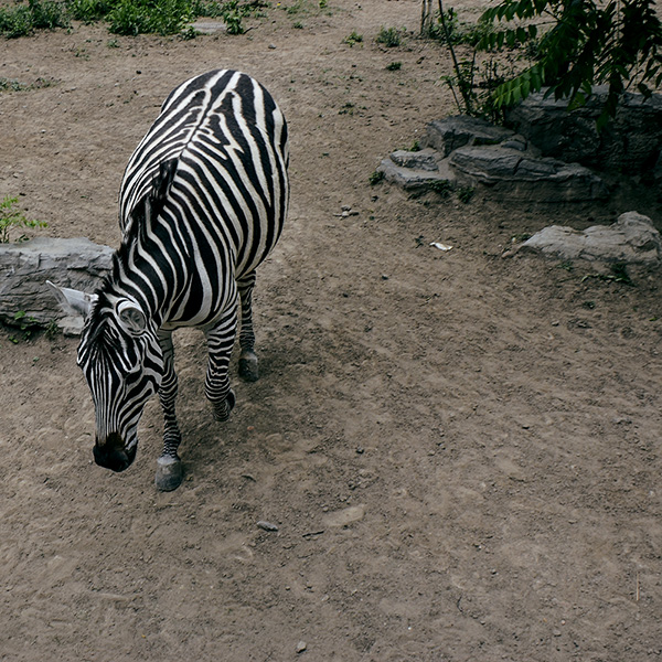 2014��5��9�ձ���aa 25912.jpg