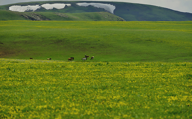 ���ǣ��򷭵ĵ�ɫ��