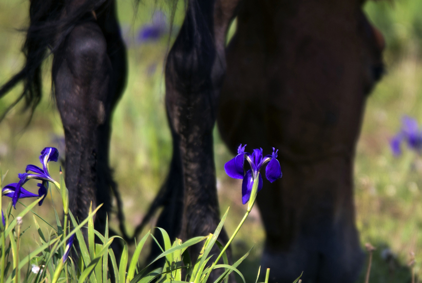 _LFD7478 ����.jpg