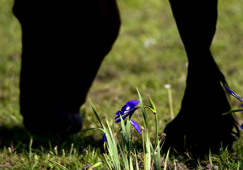 _LFD7481 ����.jpg