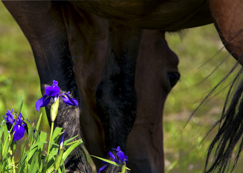 _LFD7485 ����.jpg