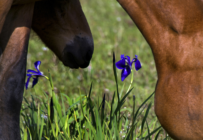 _LFD7468 ����.jpg