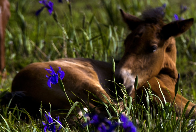 _LFD7515 ����.jpg