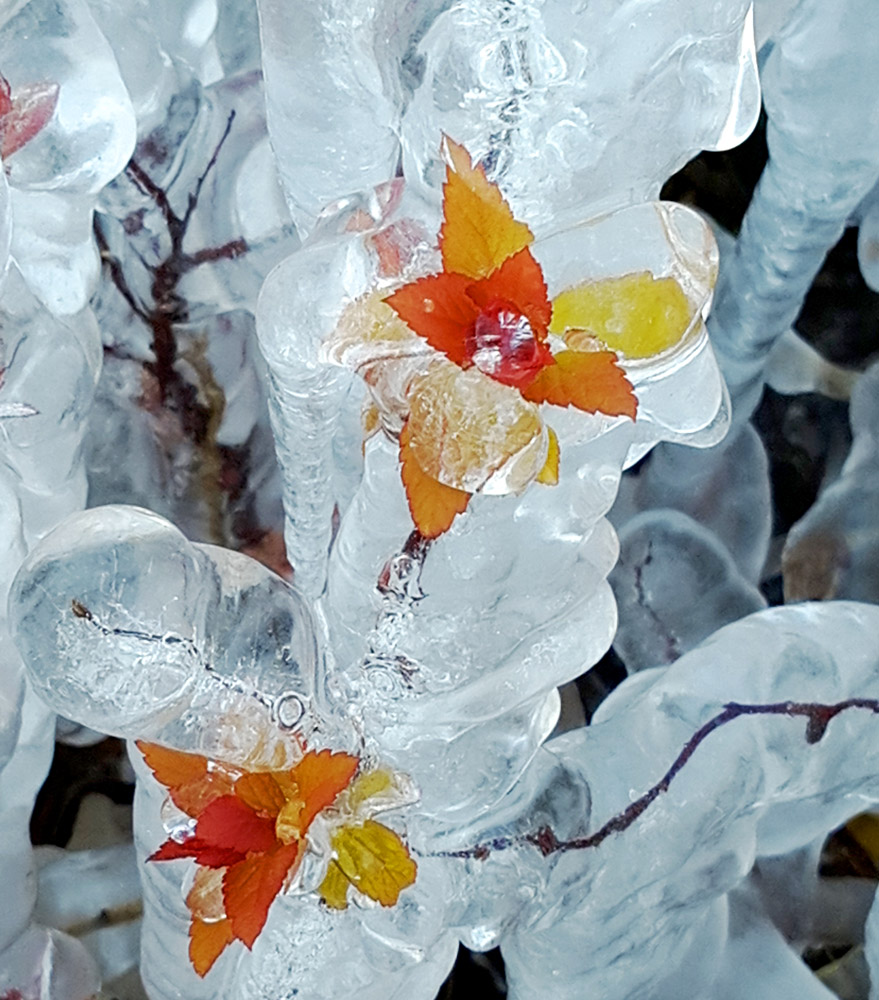 IMG_20130409_080122 ����.jpg