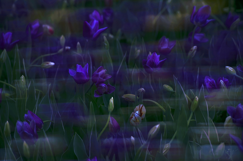 _LFD7157 ����.jpg