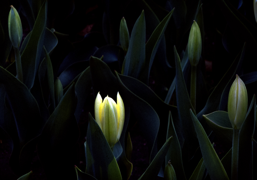 P1040994 ����.jpg