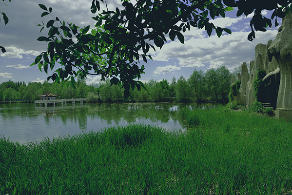 ���������Ǵ�����԰