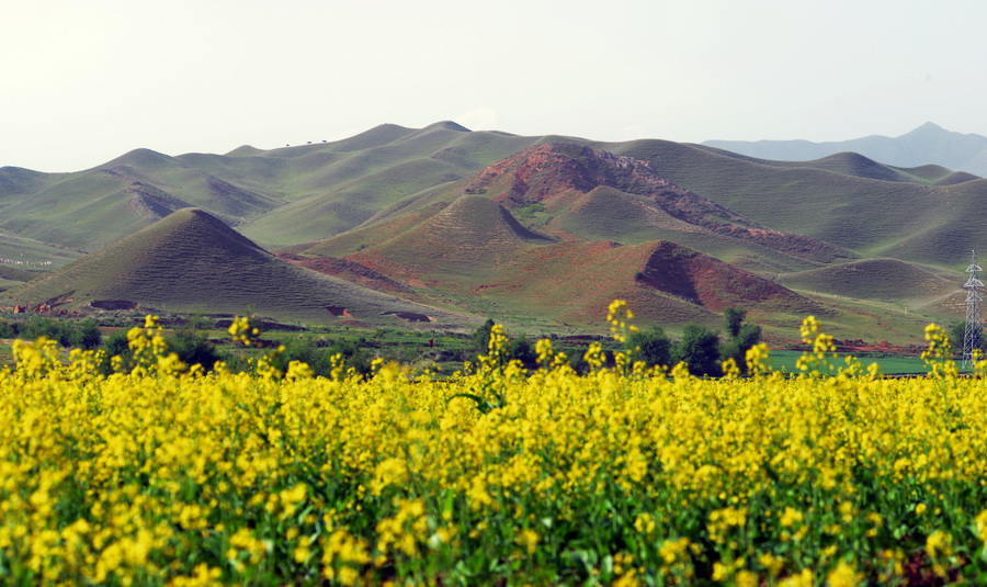 �Ͳ˻���   ������