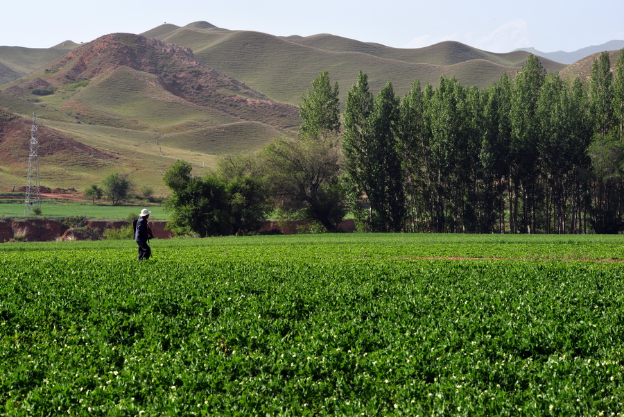 ũ��æ    ������