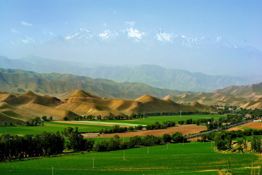 ѩɽ�¸���   ������