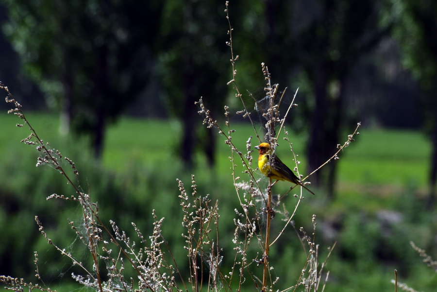 ����  ������