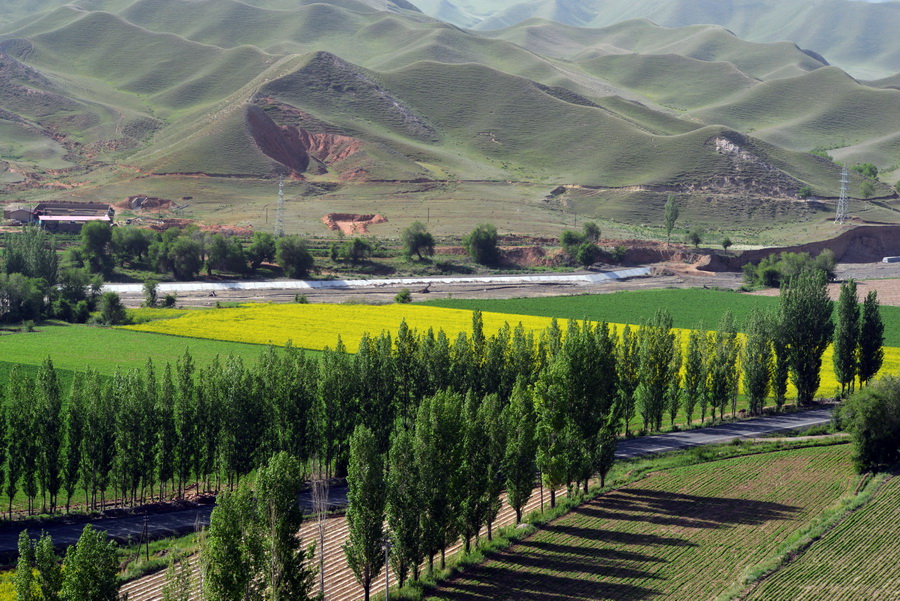 ���̽���   ������