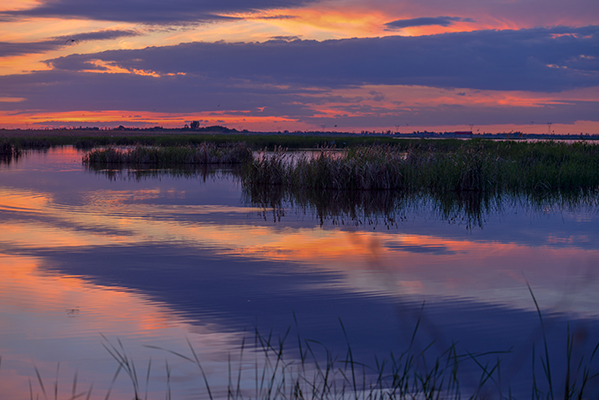 ϼ����ī���ɫ