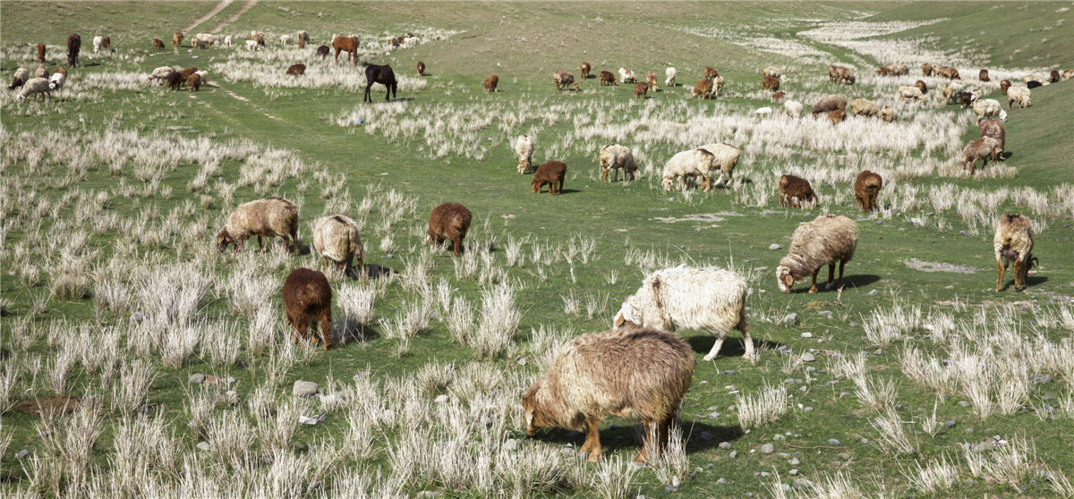 ��ɽ���� (7).jpg