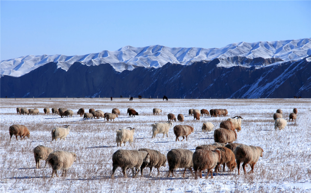 ��ɽ���� (1).jpg