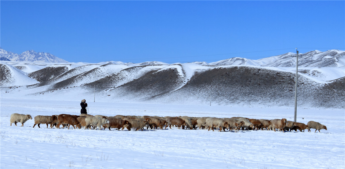 ��ɽ���� (2).jpg