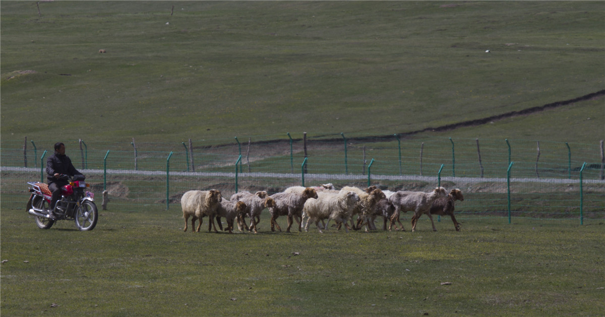 ��ɽ���� (3).jpg