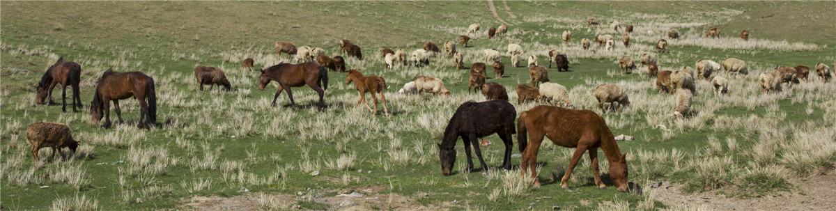 ��ɽ���� (6).jpg